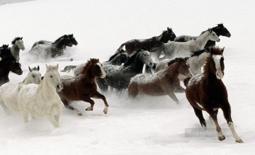 Animal Painting - running horses on snow